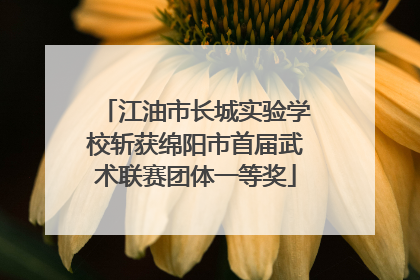 江油市长城实验学校斩获绵阳市首届武术联赛团体一等奖