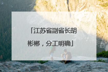 江苏省副省长胡彬郴，分工明确