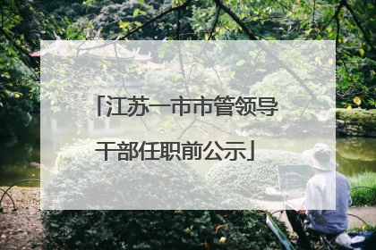 江苏一市市管领导干部任职前公示