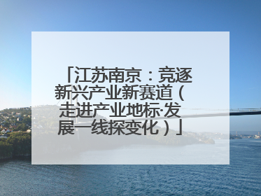 江苏南京：竞逐新兴产业新赛道（走进产业地标·发展一线探变化）