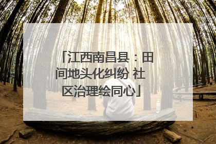 江西南昌县：田间地头化纠纷 社区治理绘同心