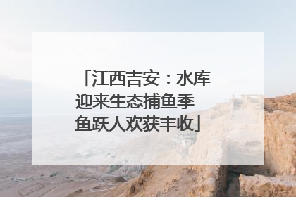 江西吉安：水库迎来生态捕鱼季 鱼跃人欢获丰收