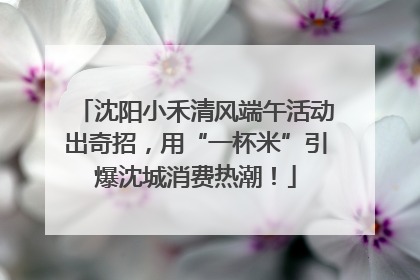 沈阳小禾清风端午活动出奇招，用“一杯米”引爆沈城消费热潮！