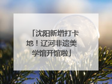 沈阳新增打卡地！辽河非遗美学馆开馆啦