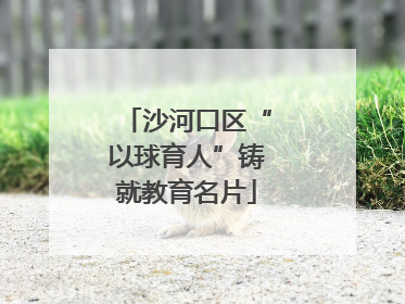 沙河口区“以球育人”铸就教育名片