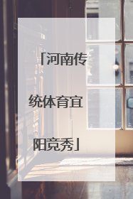 河南传统体育宜阳竞秀