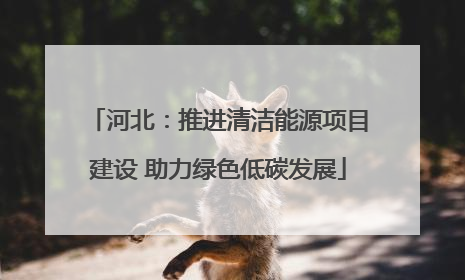 河北：推进清洁能源项目建设 助力绿色低碳发展