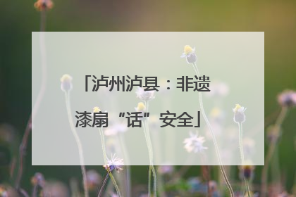 泸州泸县：非遗漆扇“话”安全