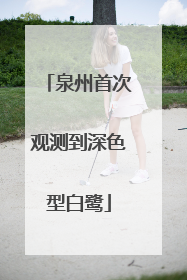 泉州首次观测到深色型白鹭