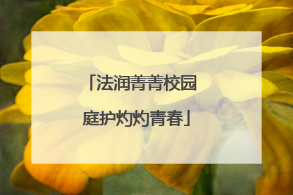 法润菁菁校园 庭护灼灼青春