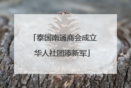 泰国南通商会成立 华人社团添新军