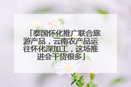 泰国怀化推广联合旅游产品，云南农产品运往怀化深加工，这场推进会干货很多