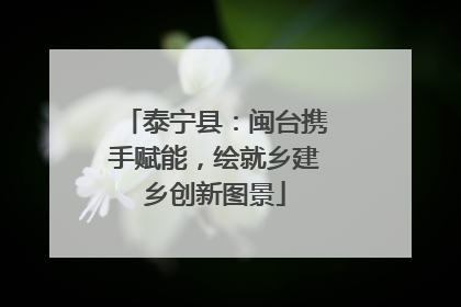 泰宁县：闽台携手赋能，绘就乡建乡创新图景
