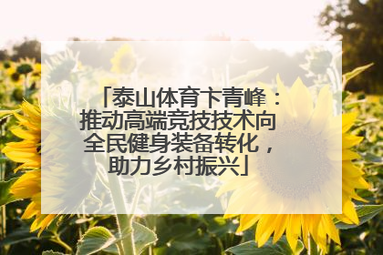 泰山体育卞青峰：推动高端竞技技术向全民健身装备转化，助力乡村振兴