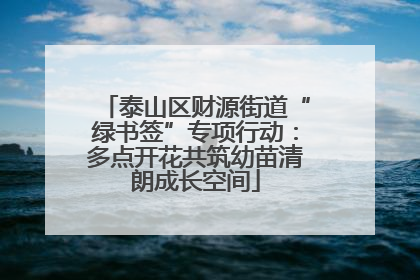 泰山区财源街道“绿书签”专项行动：多点开花共筑幼苗清朗成长空间