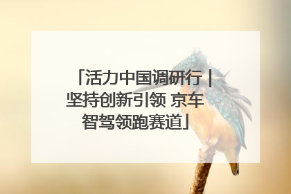 活力中国调研行｜坚持创新引领 京车智驾领跑赛道