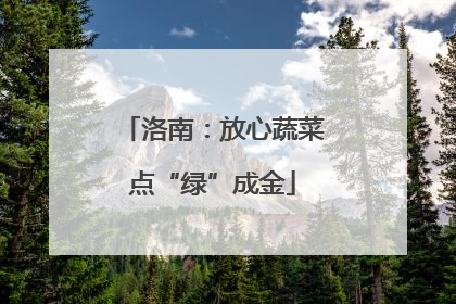 洛南：放心蔬菜点“绿”成金