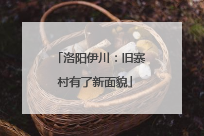 洛阳伊川：旧寨村有了新面貌