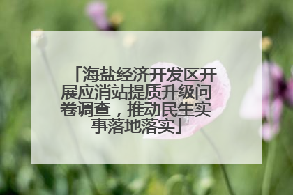 海盐经济开发区开展应消站提质升级问卷调查，推动民生实事落地落实
