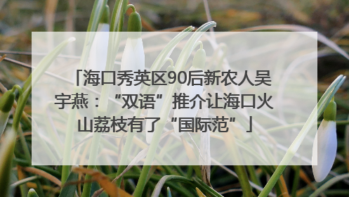 海口秀英区90后新农人吴宇燕：“双语”推介让海口火山荔枝有了“国际范”