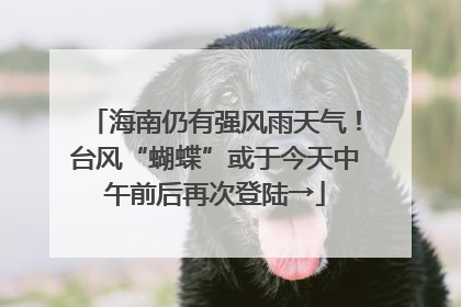 海南仍有强风雨天气！台风“蝴蝶”或于今天中午前后再次登陆→
