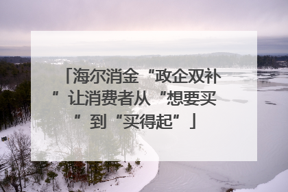 海尔消金“政企双补”让消费者从“想要买”到“买得起”