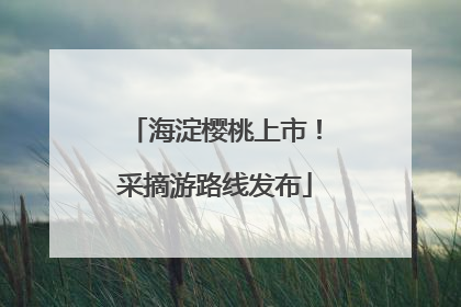 海淀樱桃上市！采摘游路线发布
