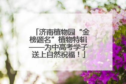 济南植物园“金榜题名”植物特辑——为中高考学子送上自然祝福！