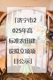 济宁市2025年高标准农田建设拟立项项目公示