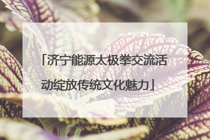 济宁能源太极拳交流活动绽放传统文化魅力