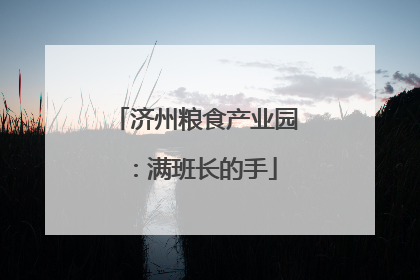 济州粮食产业园：满班长的手