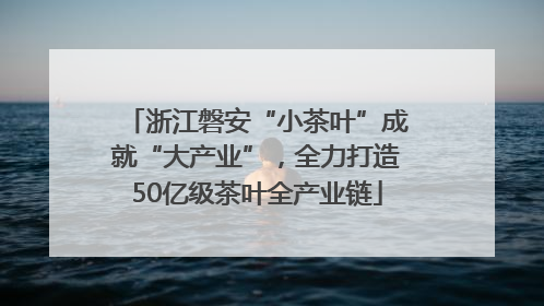 浙江磐安“小茶叶”成就“大产业”，全力打造50亿级茶叶全产业链