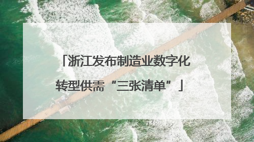 浙江发布制造业数字化转型供需“三张清单”