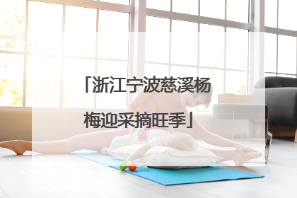 浙江宁波慈溪杨梅迎采摘旺季