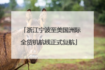 浙江宁波至美国洲际全货机航线正式复航