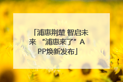 浦惠荆楚 智启未来 “浦惠来了”APP焕新发布