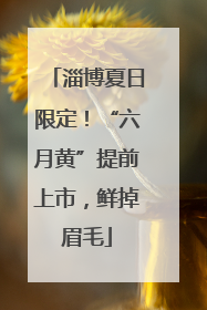 淄博夏日限定！“六月黄”提前上市，鲜掉眉毛
