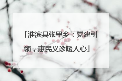淮滨县张里乡：党建引领，惠民义诊暖人心