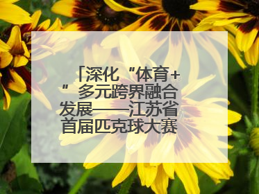 深化“体育+”多元跨界融合发展——江苏省首届匹克球大赛在无锡开赛