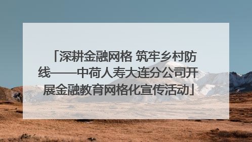 深耕金融网格 筑牢乡村防线——中荷人寿大连分公司开展金融教育网格化宣传活动