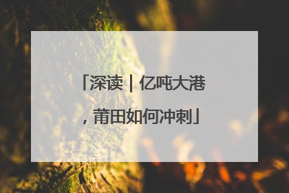 深读｜亿吨大港，莆田如何冲刺