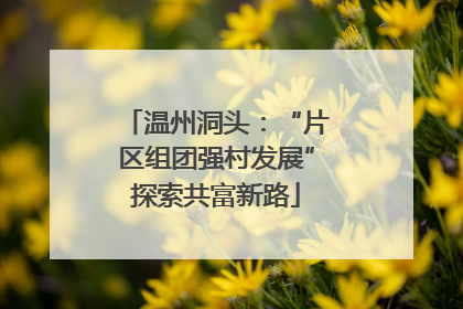 温州洞头：“片区组团强村发展”探索共富新路