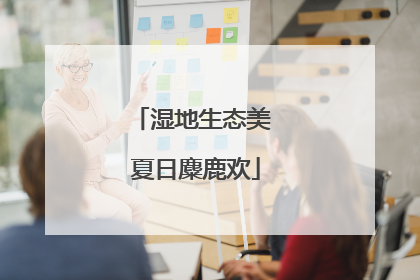 湿地生态美 夏日麋鹿欢