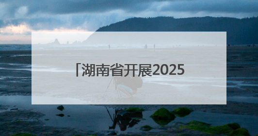 湖南省开展2025年全国“放鱼日” 7200多万尾鱼苗游入“一湖四水”