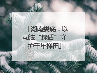 湖南娄底：以司法“绿盾”守护千年梯田