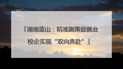 湖南蓝山：精准施策促就业 校企实现“双向奔赴”