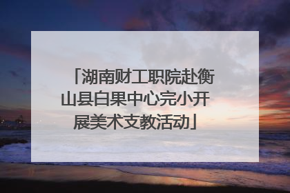 湖南财工职院赴衡山县白果中心完小开展美术支教活动