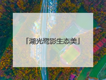 湖光鹭影生态美