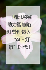 湖北移动助力智慧路灯管理迈入“AI＋灯链”时代