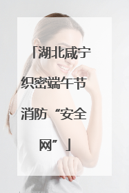 湖北咸宁织密端午节消防“安全网”